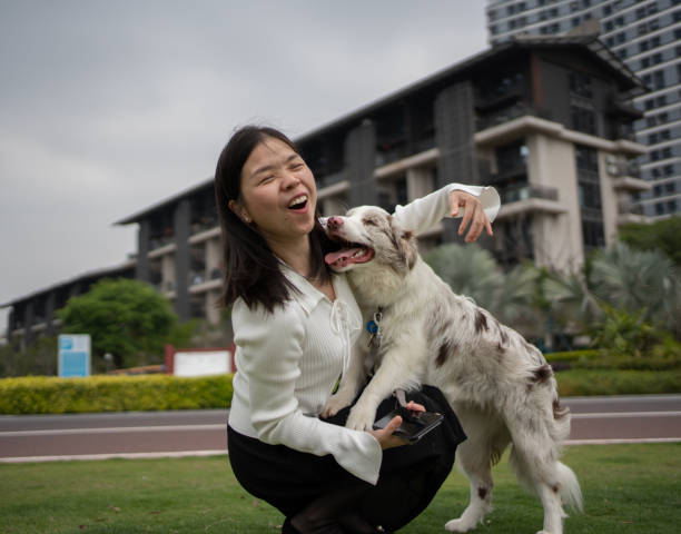 istock woman playing with collie outdoors 1485341102