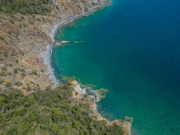 istock Mountain and natural coast view, mountain range, covered with pine forests. 1485346063