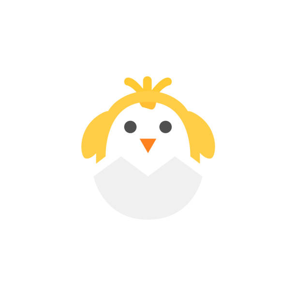 알에서 부화한 병아리의 아이콘, 벡터 일러스트레이션 - animal egg chicken new cracked stock illustrations