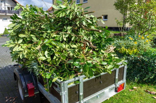 istock Trailer with green waste for recycling 1485346769