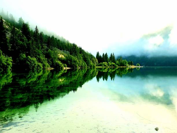 istock waterreflection and fog at lake Predil - Italy 1485347119