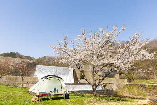 A camping scene with no people under a Cherry Blossom tree with a dam waterfall in the background.