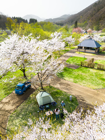 Looking down over a camp under Cherry Blossom trees with a Kei Truck (Japanese mini-light truck) parked next to the tent.