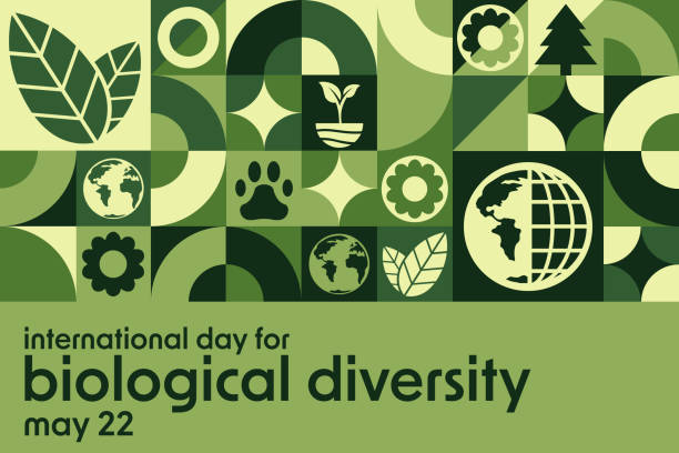 International Day for Biological Diversity. May 22. Holiday concept. Template for background, banner, card, poster with text inscription. Vector EPS10 illustration. International Day for Biological Diversity. May 22. Holiday concept. Template for background, banner, card, poster with text inscription. Vector EPS10 illustration green science background stock illustrations
