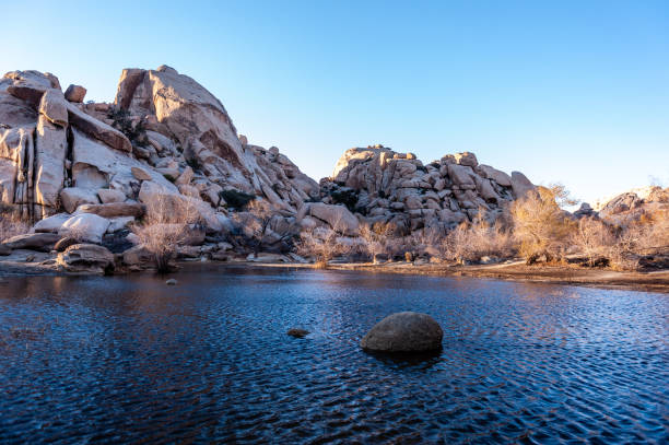 istock Barkers Dam in Joshua Tree National Park 1485351205