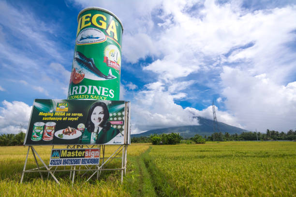 camalig, albay, philippines - une grande maquette de mega sardines peut être érigée sur des terres agricoles près du volcan mayon. - philippines mt mayon volcano rice photos et images de collection