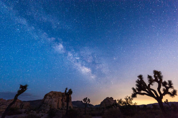 istock The Milky Way over Joshua Tree National Park 1485351540
