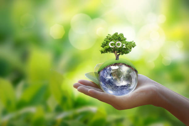 istock Renewable energy-based green businesses can limit climate change and global warming. Clean and environmentally friendly environment without carbon dioxide emissions.Reduce CO2 emission concept. 1485351834