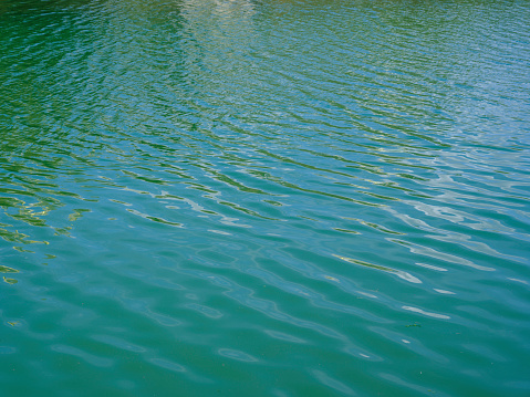 sea water surface on a sunny day