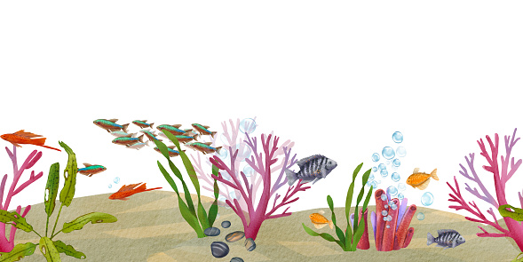 Seamless banner of the ocean floor with exotic fish and plants. Watercolor illustration of the underwater world. Coral reef. The island collection. Suitable for wallpaper, packaging. the background