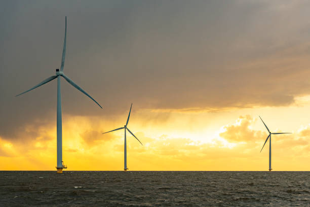 istock Wind turbines in an offshore wind park producing electricity during sunset 1485359032