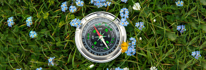 compass on blue flower and grass background