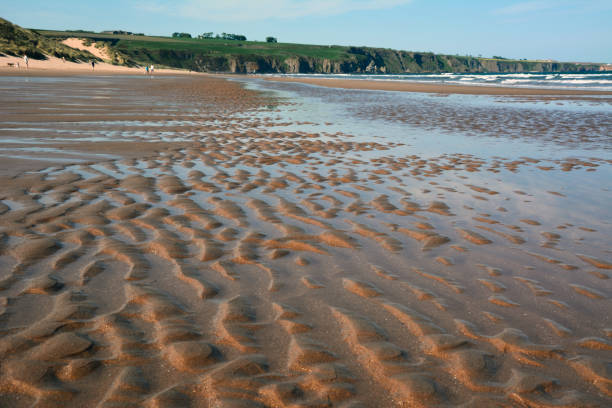 穴と水たまりのある非常に広い砂浜の干潮 - dry sea riverbank mud ストックフォトと画像