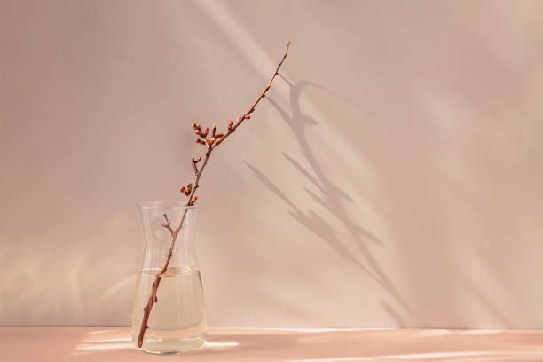 istock dry apple branch with buds in a vase 1485363418