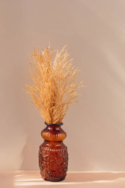 istock Natural dried pampas grass in brown vase 1485363424