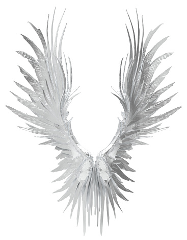 Realistic angel wings. White wing isolated