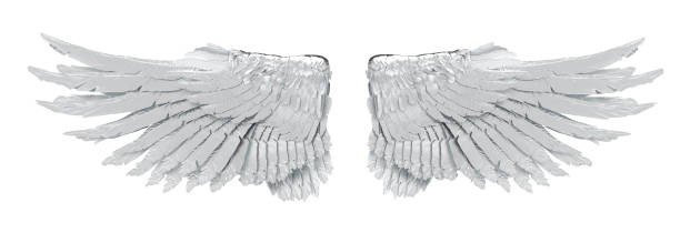istock Realistic angel wings. White wing isolated 1485363789