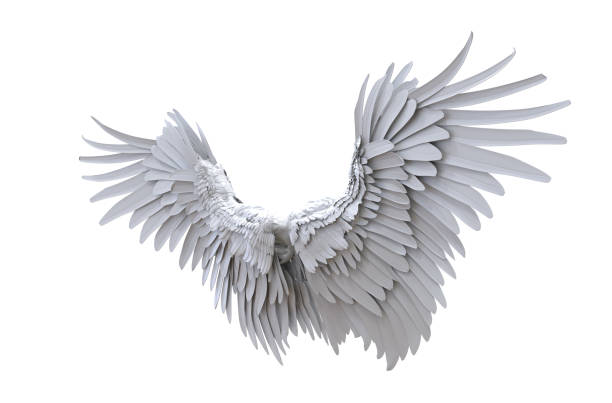 istock Realistic angel wings. White wing isolated 1485363960
