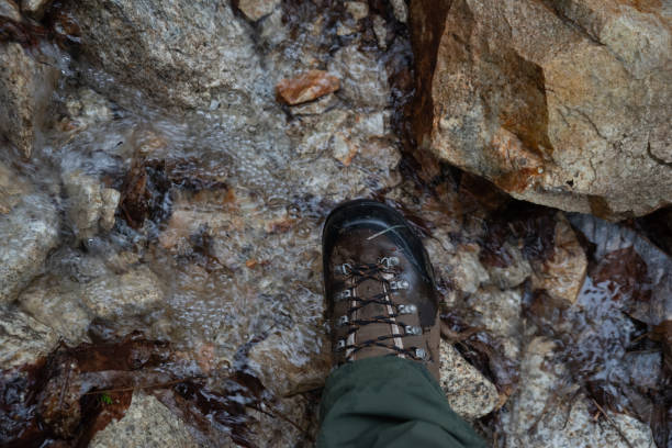 istock Walk along a mountain trail with spring water 1485364587