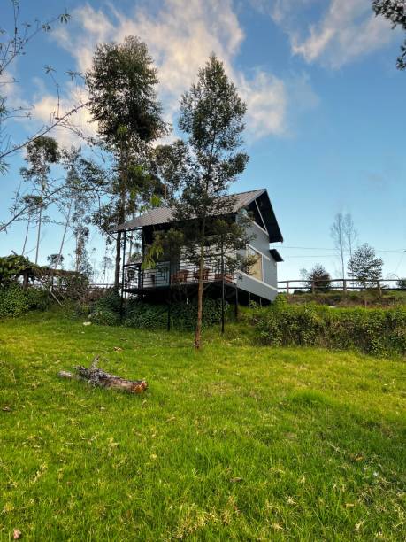istock Rural house situated in a green meadow with trees. 1485364867