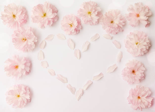 istock Romantic Spring Blossom Flower Frame And Heart With Petals 1485365590
