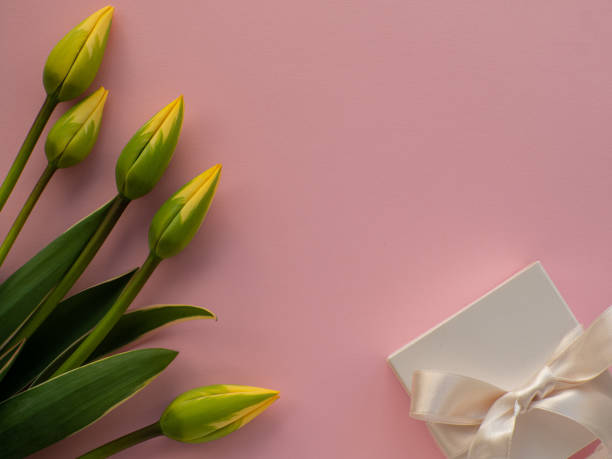 istock Tulips flowers, white gift box with a bow and paper background with copy space 1485365901