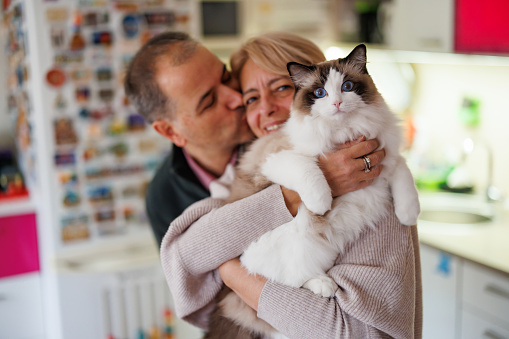 Portrait of happy mature couple hugging their ragdoll cat at home