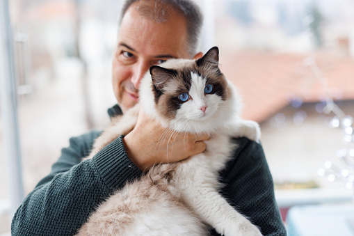 Portrait of mature man hugging his ragdoll cat at home