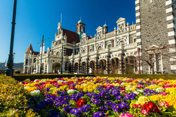 Flemish Renaissance Daniden Station and Flowerbed in Dunedin, New Zealand Dunedin is a city located on the southeast coast of New Zealand's South Island. It is the second-largest city in the South Island and the fifth-largest city in New Zealand. dunedin new zealand stock pictures, royalty-free photos & images