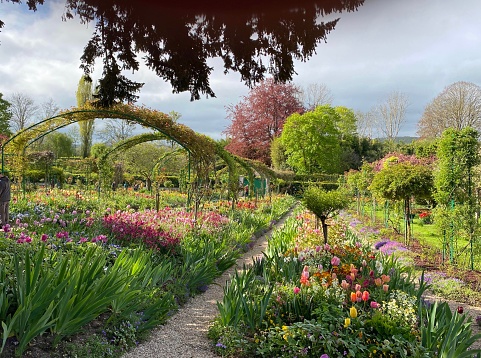 Colorful tulips, daffodils and hyacinths in a park