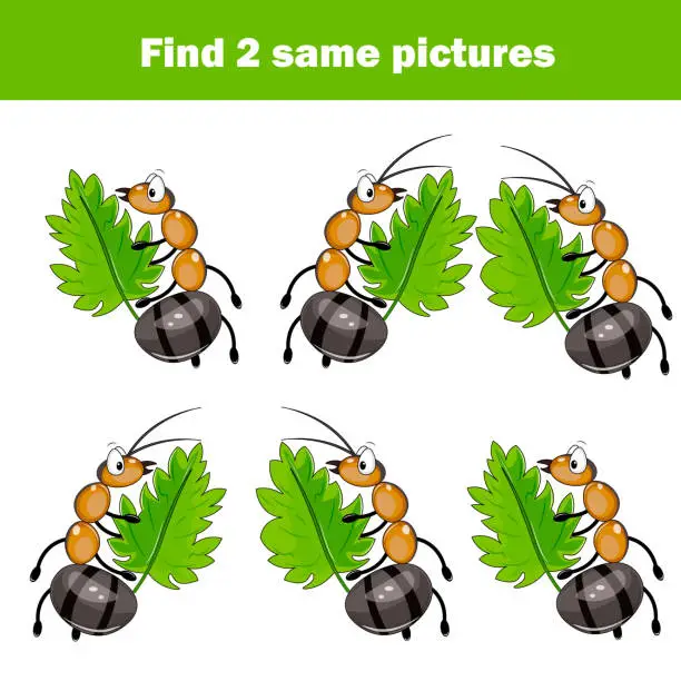 Vector illustration of Find the same pictures for kids, educational game. Find identical pairs of lant. Insect theme.