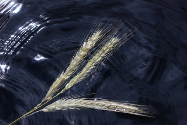 textural reflection on the water surface