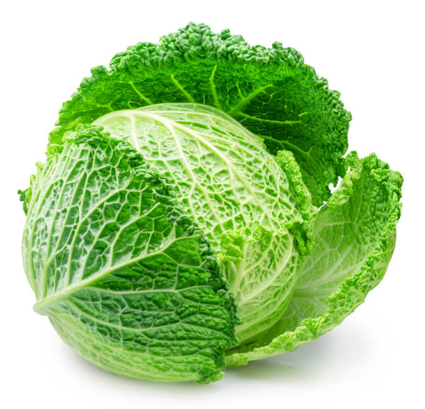 istock Savoy cabbage isolated on white background. File contains clipping path. 1485369089