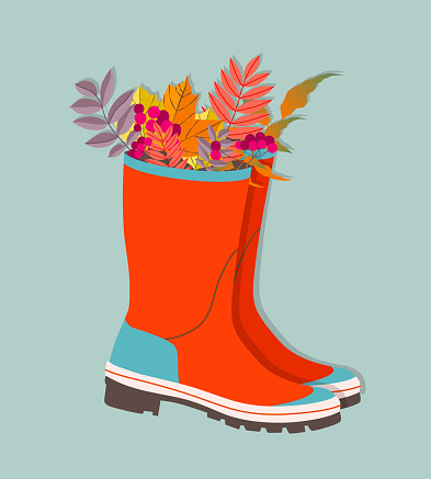 Autumn leaves in pair of a wellies composition. Trendy vector rain boots and leaves. Modern illustration design for web and print. Autumn holiday atmosphere concept. Beautiful pair of red wellies.