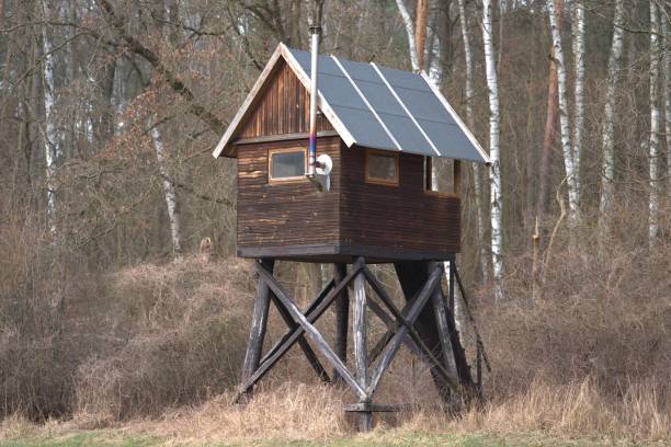 Hunters build hunting stands with more and more comfortable ones. They already have windows and heating.