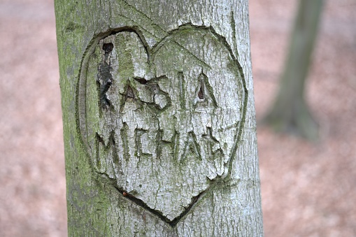 Polish names Kasia and Michal engraved on the tree within the heart. A symbol of love, and at the same time vandalism, maiming a tree.
