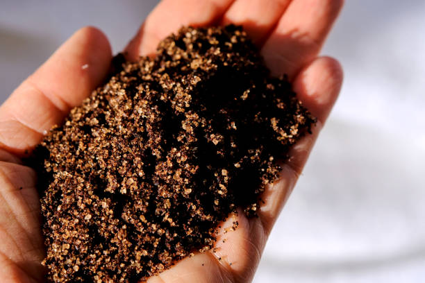 istock Brown coffee scrub on the female hand. 1485372809