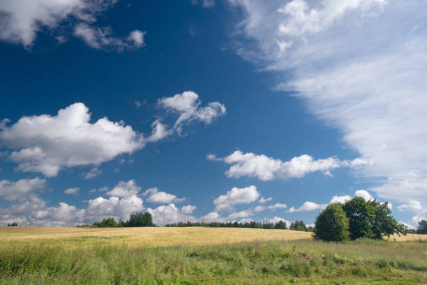 Village landscape on a summer sunny day - fotografia de stock