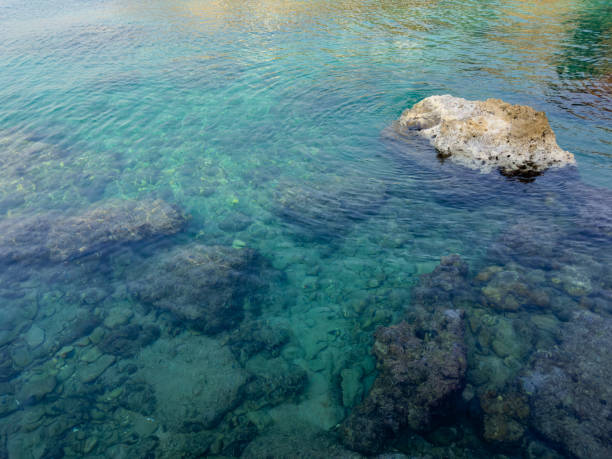 istock beautiful sea view and rocks 1485375798