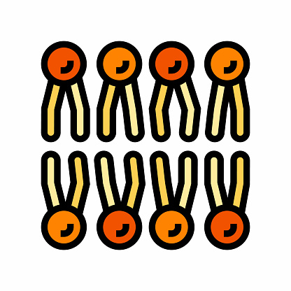 lipid membrane biochemistry color icon vector. lipid membrane biochemistry sign. isolated symbol illustration
