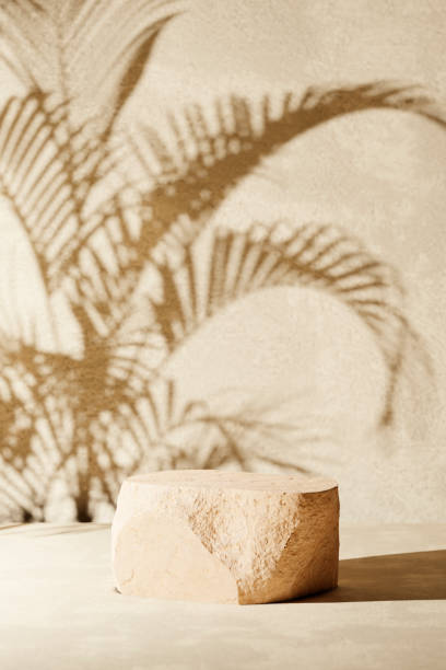 istock Natural stone podium with palm leaf shadow in background 1485389191