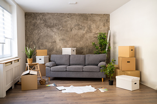 Sofa, cardboard boxes and houseplants at the apartment, during moving in