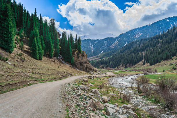 istock Creek in Kyrgyzstan mountains 1485393654