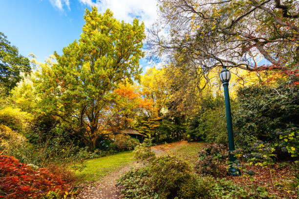 istock George Tindale Memorial Gardens in Australia 1485394644