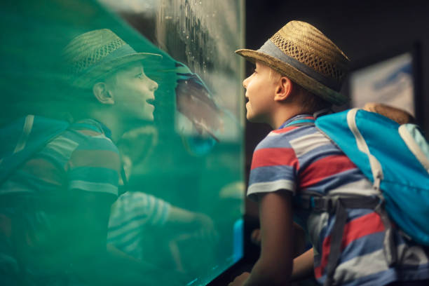 小さな動物園を訪れる子供たち - candid underwater animal aquarium ストックフォトと画像