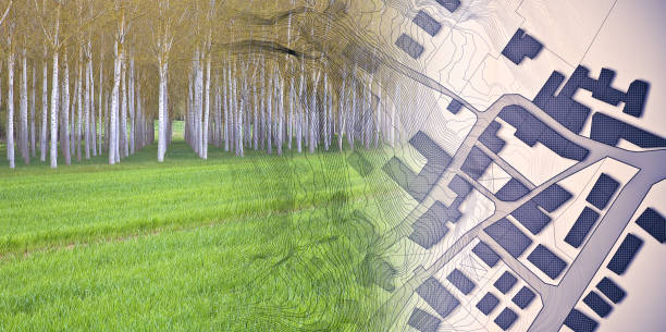 istock Imaginary topographic cadastral map and land parcels of territory with trees on background and buildable vacant land for sale - concept image 1485397356