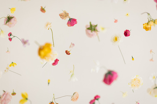 A bouquet of dried flowers placed on a white background. Wedding, festive concept.