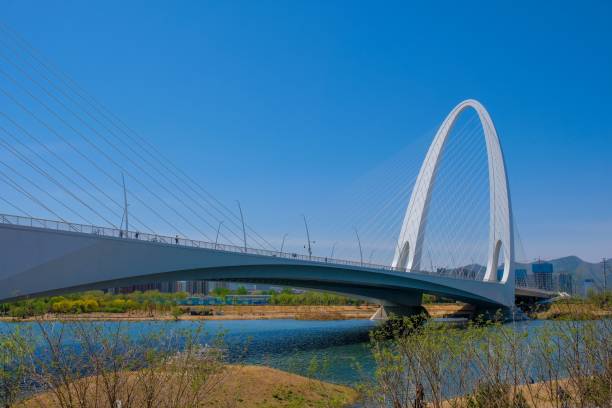 istock a bridge spanning over a river and green grass near water 1485407691
