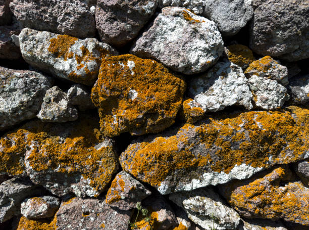 Moss Stone Wall Texture stock photo