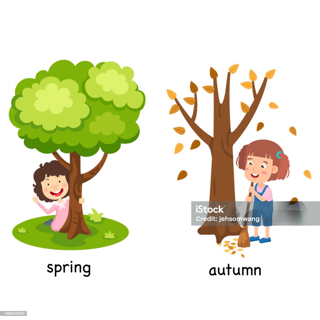 Spring And Fall Vector Opposite Spring And Autumn Vector Illustration Stock Illustration ...